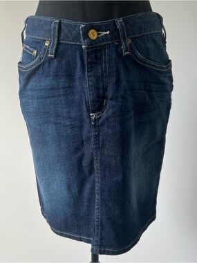 Carhartt Dark Wash Denim Mini Skirt Size 4